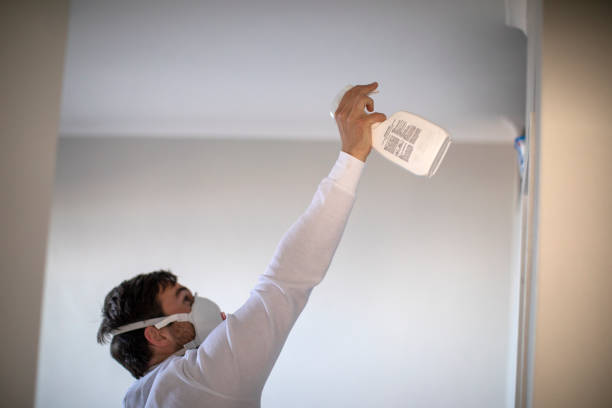 Best Mold Cleaning Services  in Pineville, LA