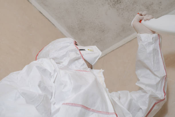  Pineville, LA Mold Removal Pros